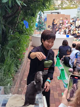 マクセル アクアパーク品川に投稿された画像（2023/11/5）