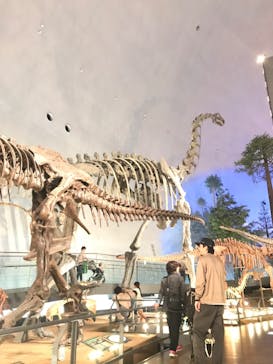 福井県立恐竜博物館に投稿された画像（2023/11/6）