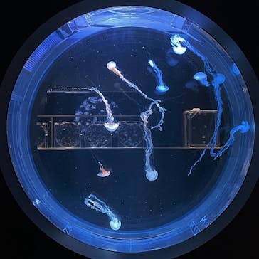 AOAO SAPPOROに投稿された画像（2023/11/6）