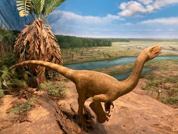 福井県立恐竜博物館に投稿された画像（2023/11/6）