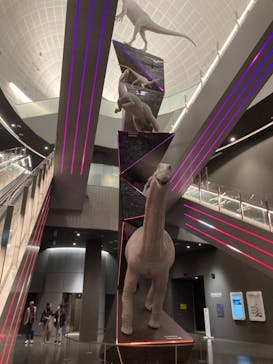 福井県立恐竜博物館に投稿された画像（2023/11/6）