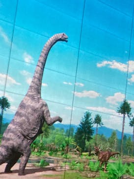 福井県立恐竜博物館に投稿された画像（2023/11/6）