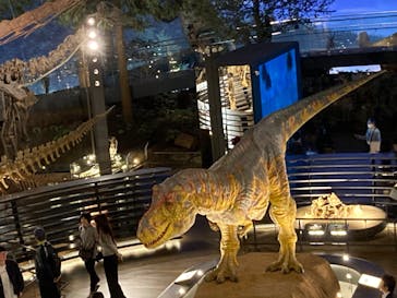 福井県立恐竜博物館に投稿された画像（2023/11/6）