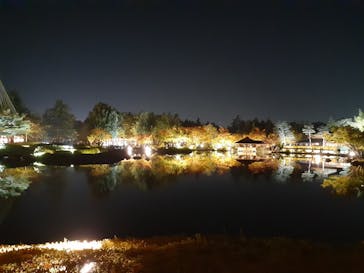 国営昭和記念公園 秋の夜散歩に投稿された画像（2023/11/6）