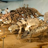 福井県立恐竜博物館に投稿された画像（2023/11/6）