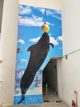 マリンワールド海の中道に投稿された画像（2023/11/6）