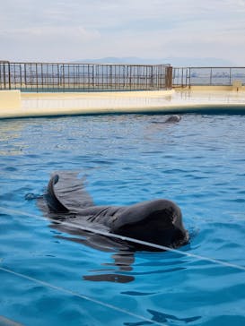 マリンワールド海の中道に投稿された画像（2023/11/6）