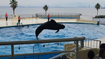 マリンワールド海の中道に投稿された画像（2023/11/6）