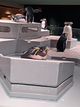 AOAO SAPPOROに投稿された画像（2023/11/6）