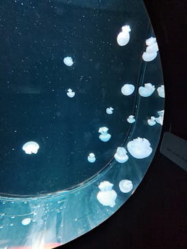 AOAO SAPPOROに投稿された画像（2023/11/6）