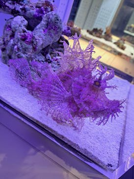 AOAO SAPPOROに投稿された画像（2023/11/6）