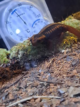 AOAO SAPPOROに投稿された画像（2023/11/6）