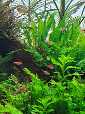 AOAO SAPPOROに投稿された画像（2023/11/6）