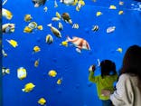 環境水族館アクアマリンふくしまに投稿された画像（2023/11/6）