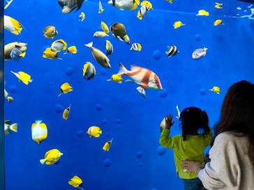 環境水族館アクアマリンふくしまに投稿された画像（2023/11/6）