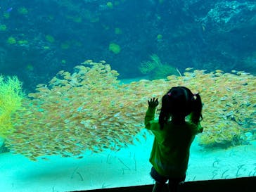 環境水族館アクアマリンふくしまに投稿された画像（2023/11/6）