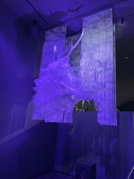 滋賀県立琵琶湖博物館に投稿された画像（2023/11/6）