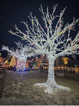 フェスタ・ルーチェに投稿された画像（2023/11/6）