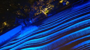 博多ライトアップウォーク実行委員会に投稿された画像（2023/11/6）