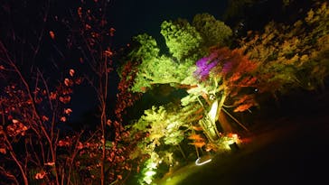 博多ライトアップウォーク実行委員会に投稿された画像（2023/11/6）