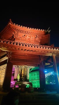 博多ライトアップウォーク実行委員会に投稿された画像（2023/11/6）