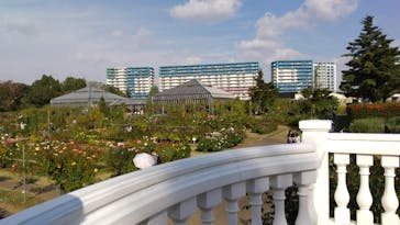 京成バラ園に投稿された画像（2023/11/6）