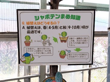 伊豆シャボテン動物公園に投稿された画像（2023/11/6）