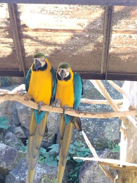 伊豆シャボテン動物公園に投稿された画像（2023/11/6）