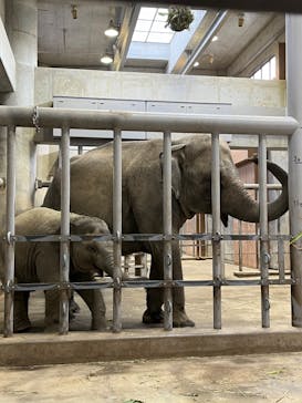 名古屋市東山動植物園に投稿された画像（2023/11/6）