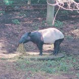 千葉市動物公園に投稿された画像（2023/11/6）