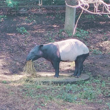 千葉市動物公園に投稿された画像（2023/11/6）
