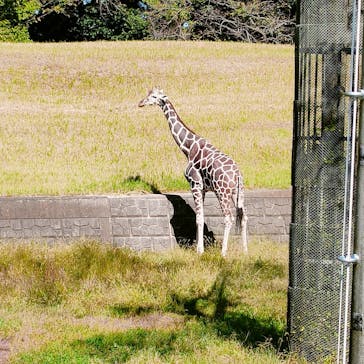 千葉市動物公園に投稿された画像（2023/11/6）