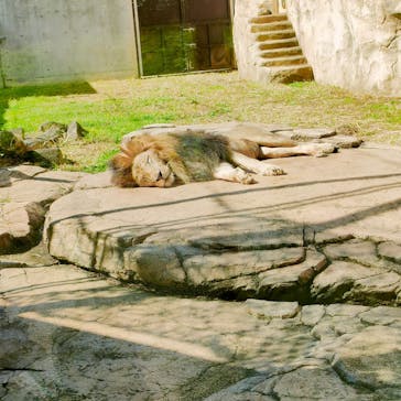 千葉市動物公園に投稿された画像（2023/11/6）