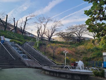 西武園ゆうえんちに投稿された画像（2023/11/6）