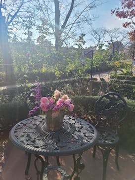 西武園ゆうえんちに投稿された画像（2023/11/6）