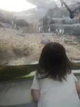 天王寺動物園に投稿された画像（2023/11/6）