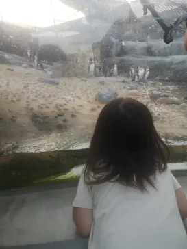 天王寺動物園に投稿された画像（2023/11/6）