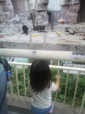 天王寺動物園に投稿された画像（2023/11/6）