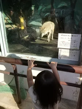 天王寺動物園に投稿された画像（2023/11/6）