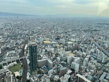 ハルカス300(展望台)に投稿された画像（2023/11/6）