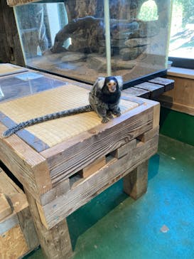 長崎バイオパークに投稿された画像（2023/11/6）