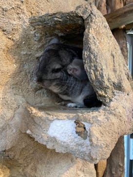 長崎バイオパークに投稿された画像（2023/11/6）