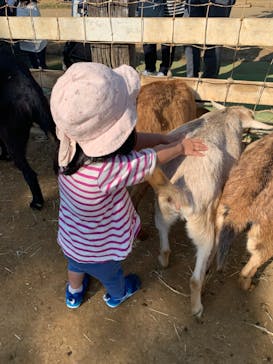 成田ゆめ牧場に投稿された画像（2023/11/6）