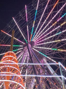 名古屋港シートレインランドに投稿された画像（2023/11/6）