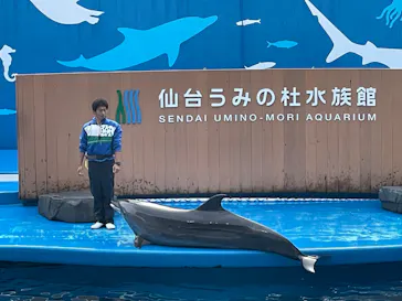 仙台うみの杜水族館に投稿された画像（2023/11/6）