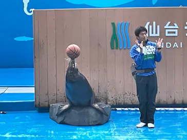 仙台うみの杜水族館に投稿された画像（2023/11/6）