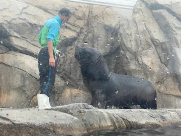 仙台うみの杜水族館に投稿された画像（2023/11/6）