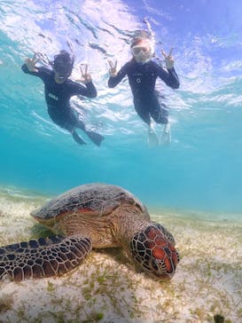 宮古島マリン GB QUESTに投稿された画像（2023/11/6）