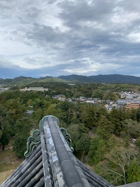 松江城に投稿された画像（2023/11/6）