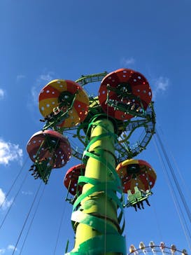 浜名湖パルパルに投稿された画像（2023/11/6）